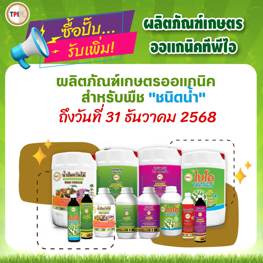 สินค้า 5
