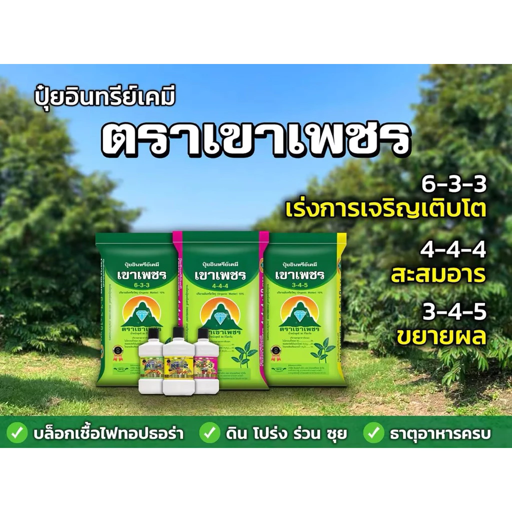 สินค้า 2