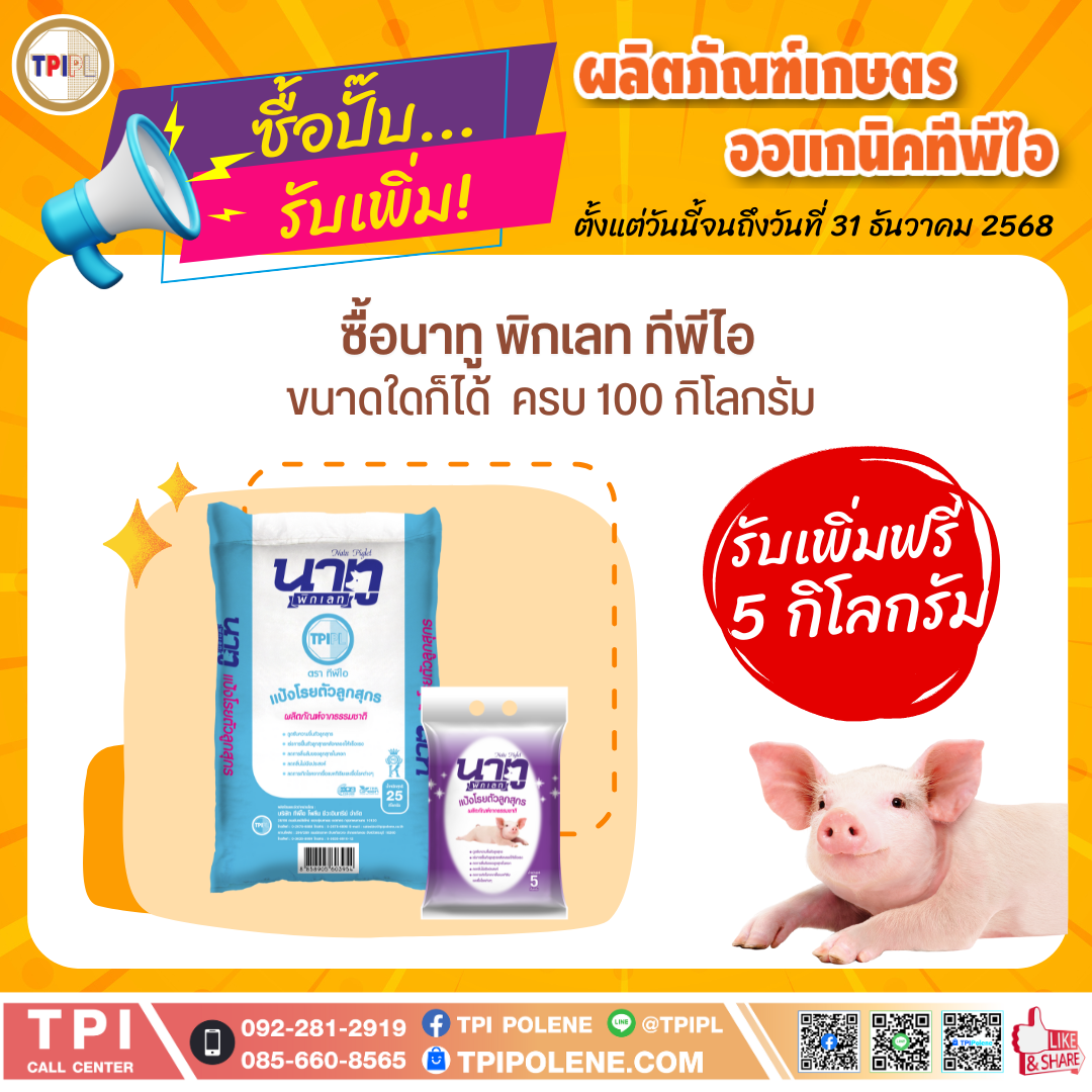 สินค้า 2