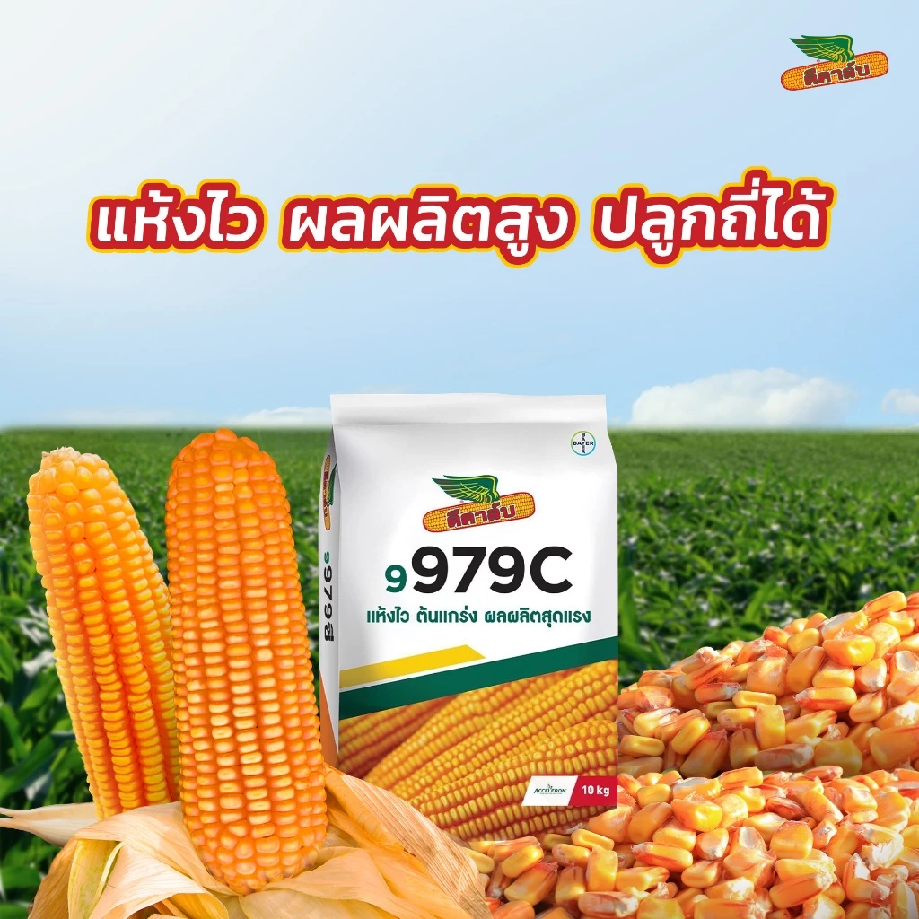 สินค้า 4