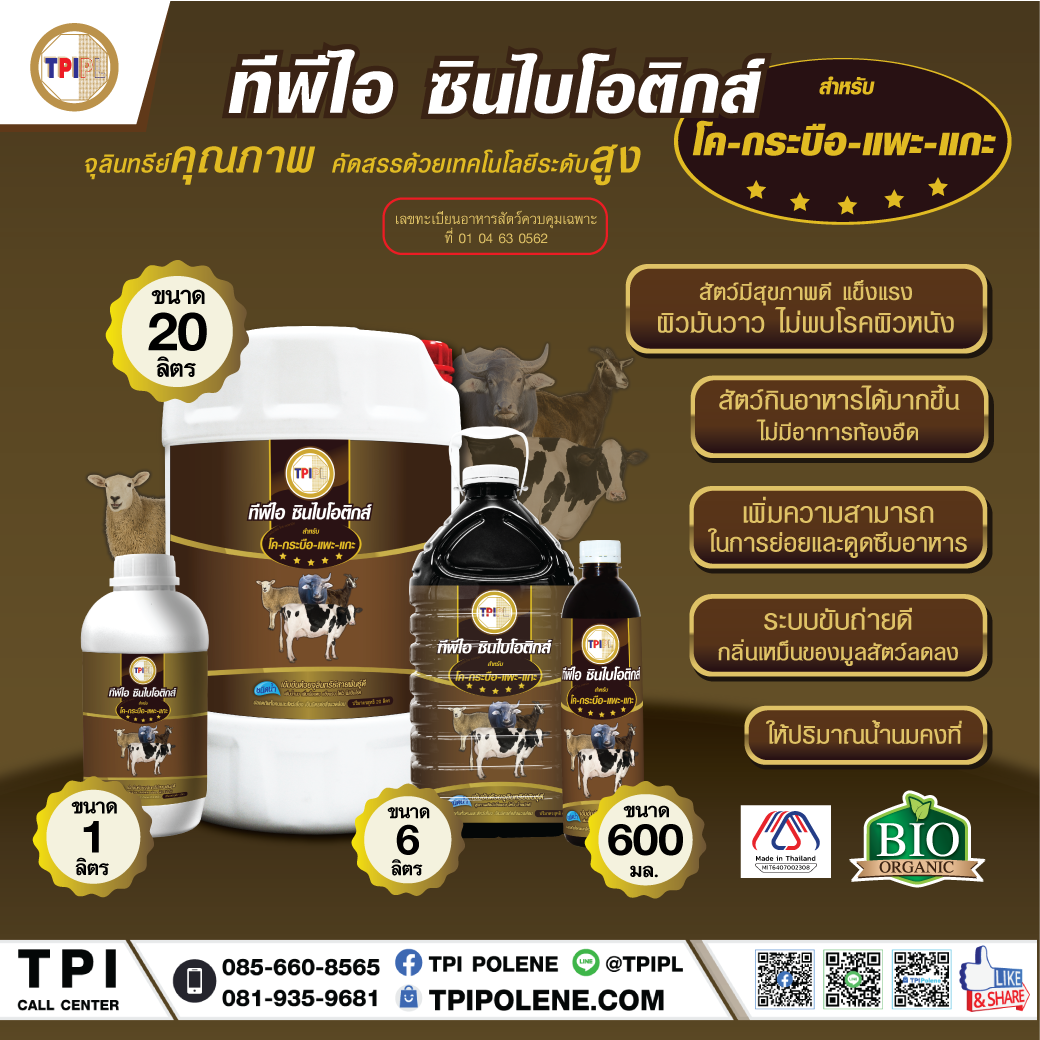 สินค้า 2