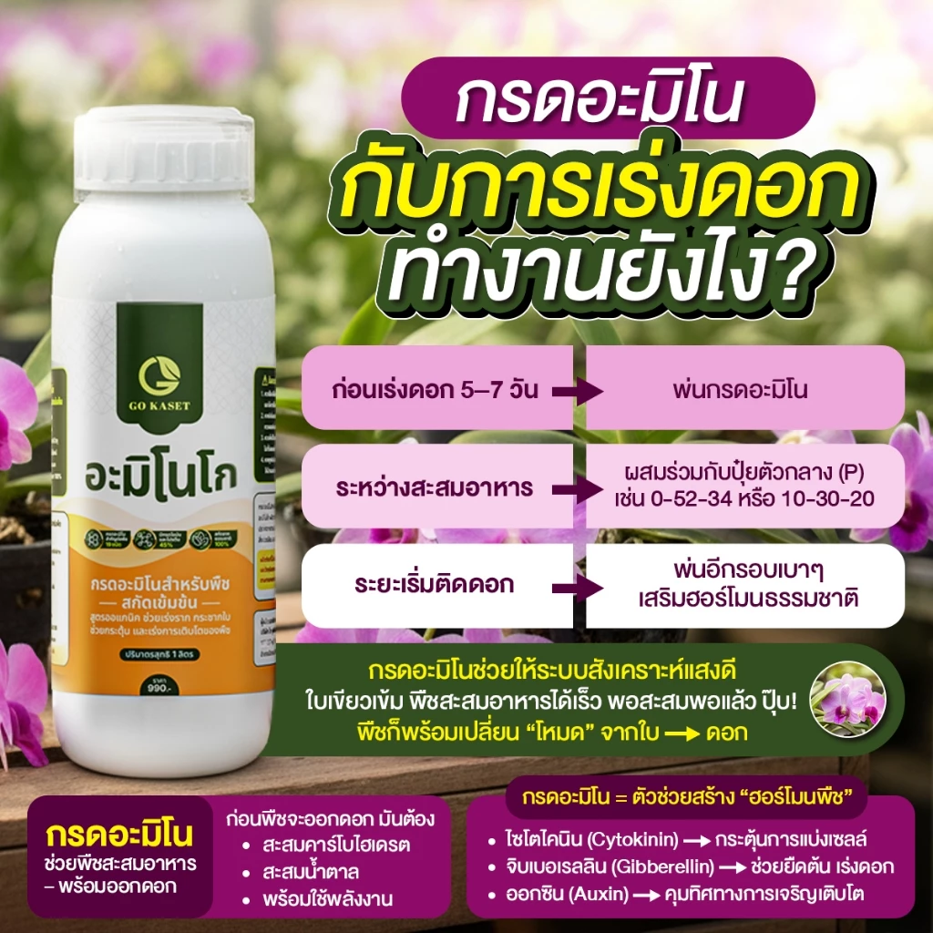 สินค้า 3