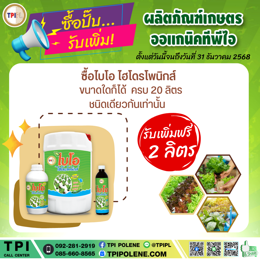 สินค้า 2