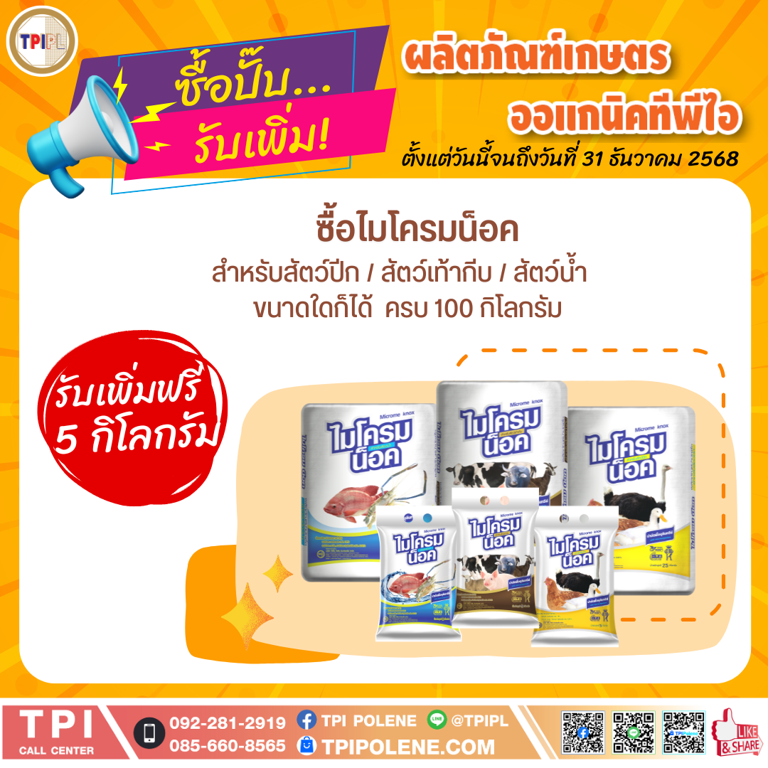 สินค้า 3