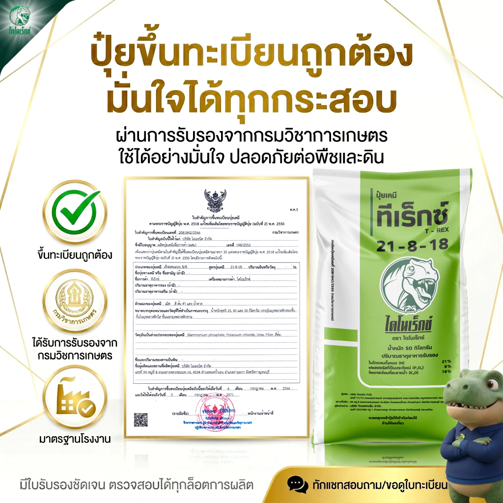 สินค้า 2