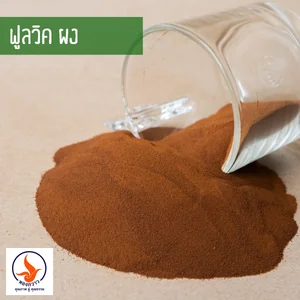 สินค้า 4