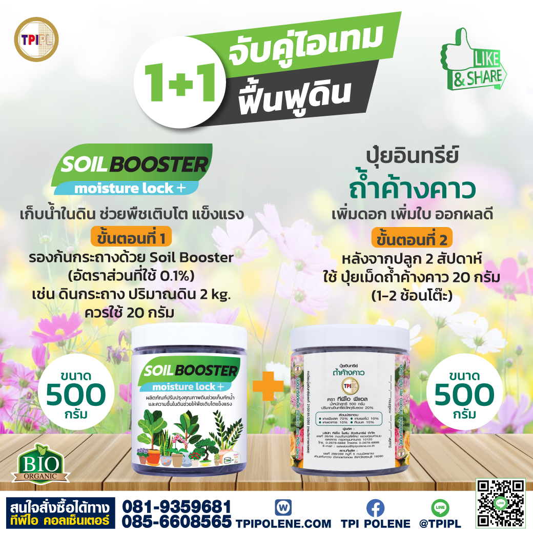 สินค้า 2