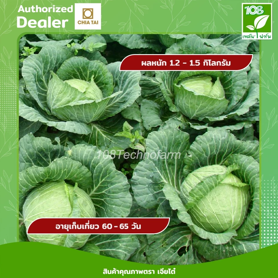 สินค้า 3