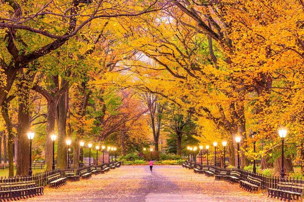 best time to visit new york for fall colors