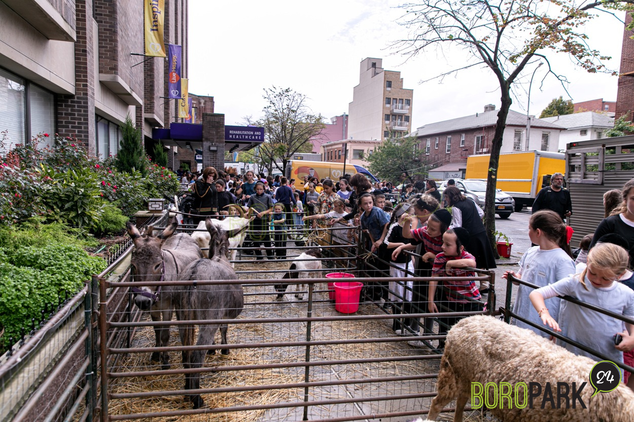 A Giant Event at The Boro Park Center Boro Park 24