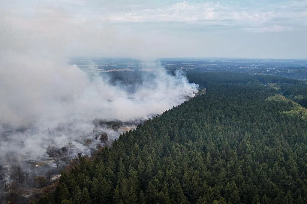 Belgium Battles Historic Wildfires as Flames Push Toward German Border
