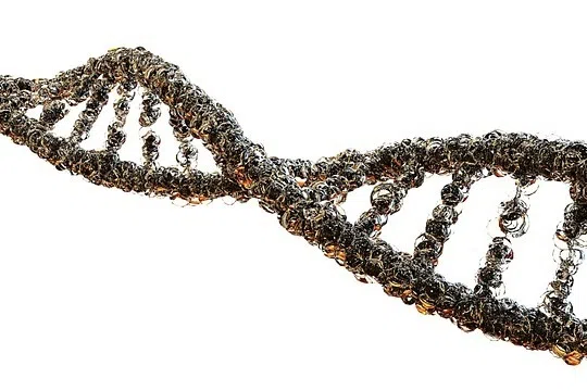 Genetic Breakthrough: 36 Key Genes Identified as Drivers of OCD and Tic Disorders