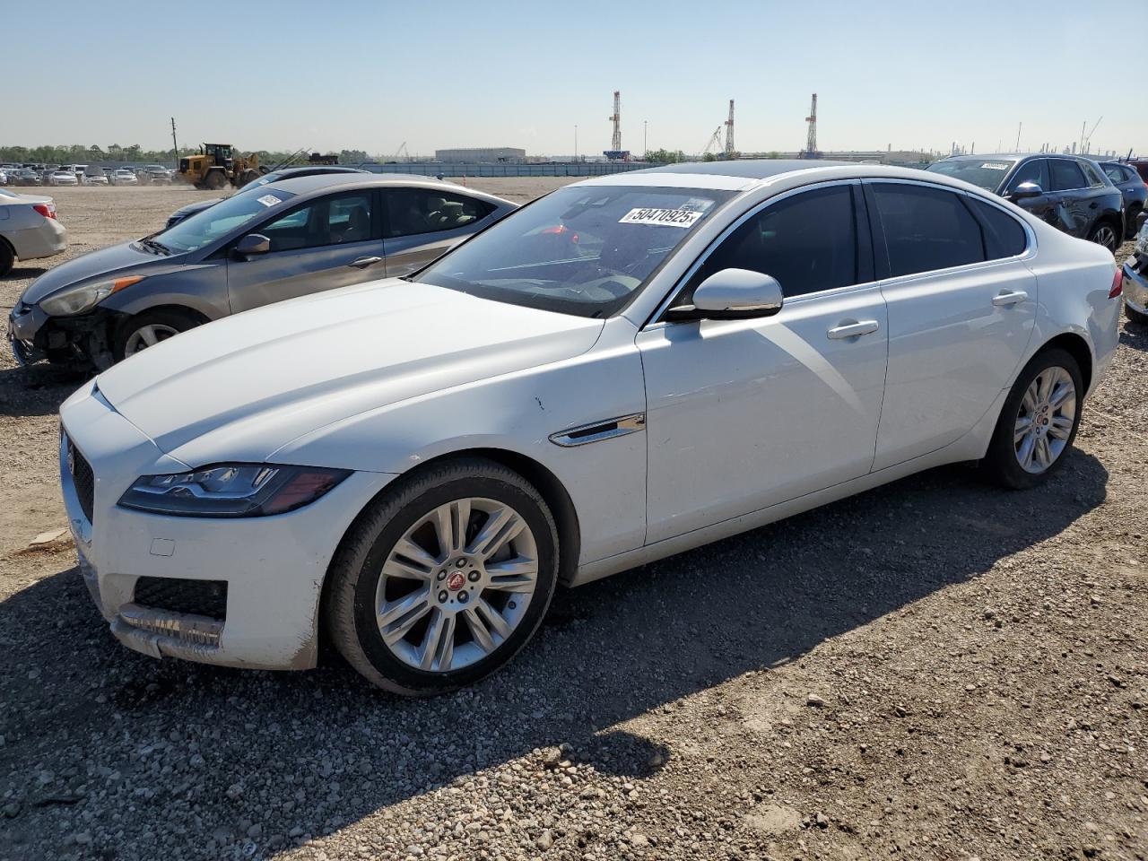 Jaguar