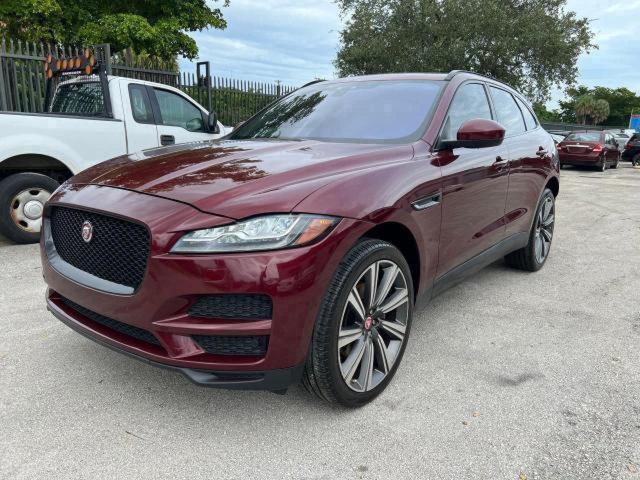 Jaguar