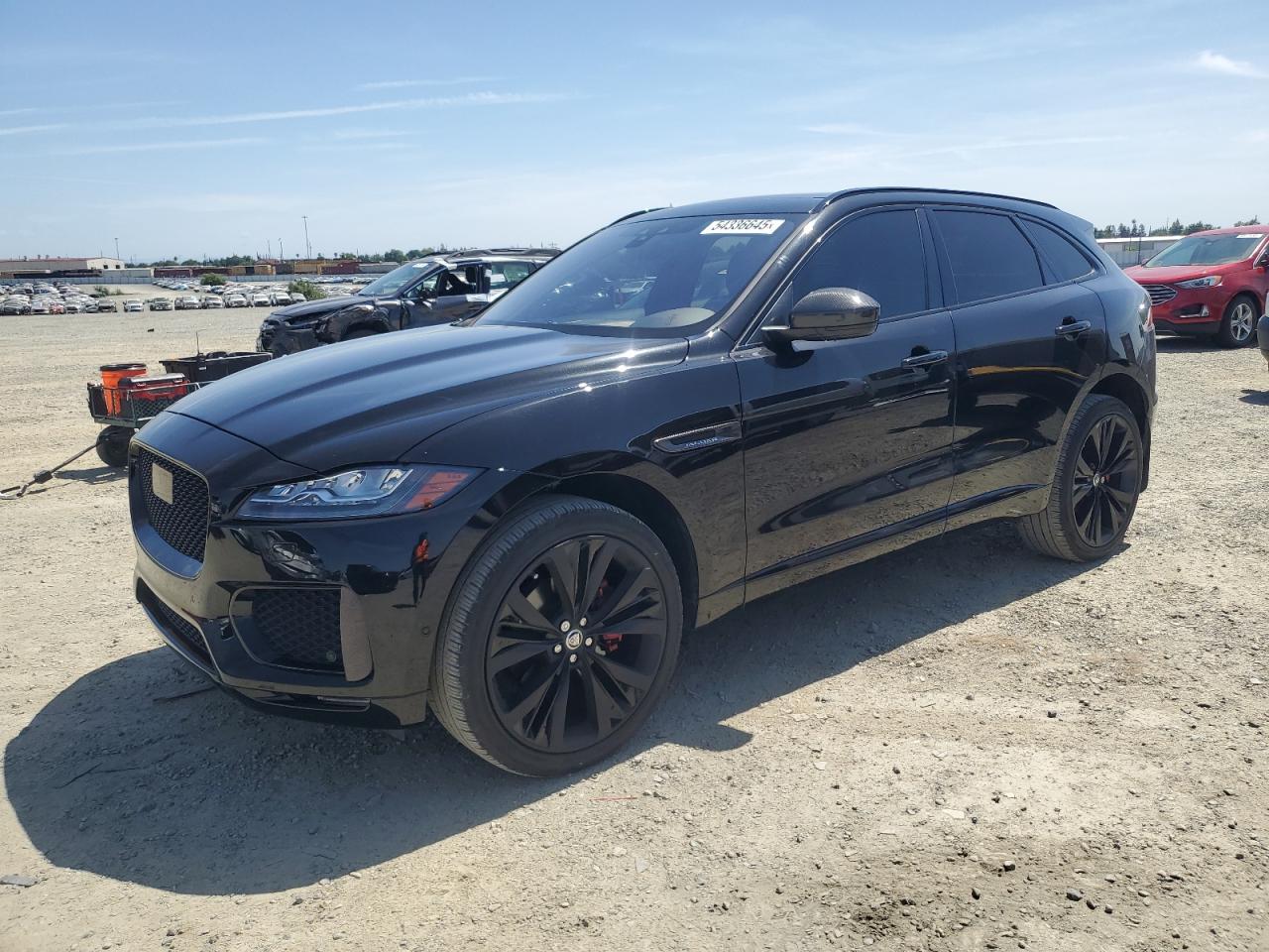 Jaguar