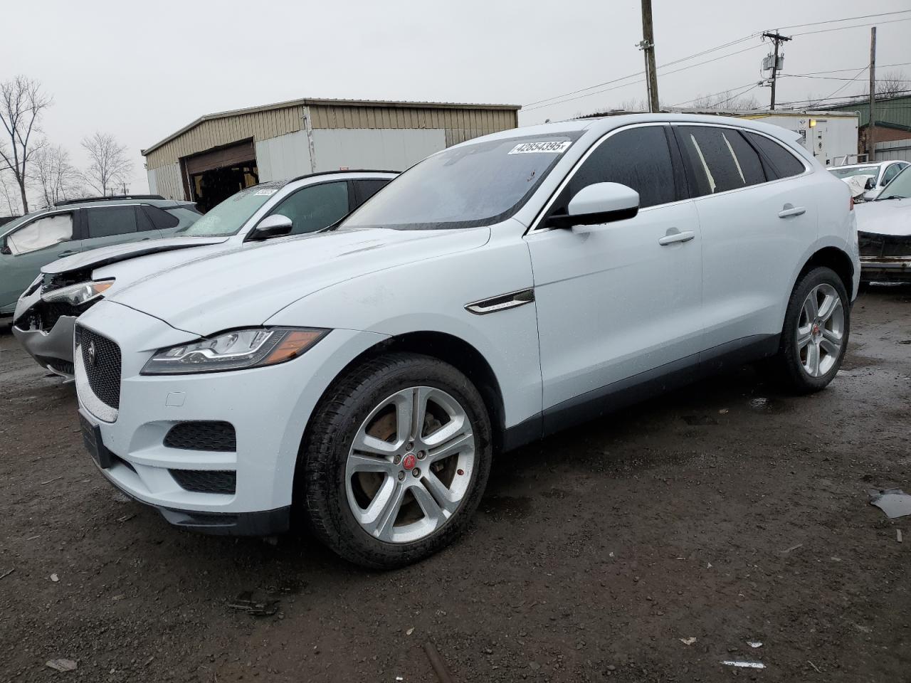 Jaguar