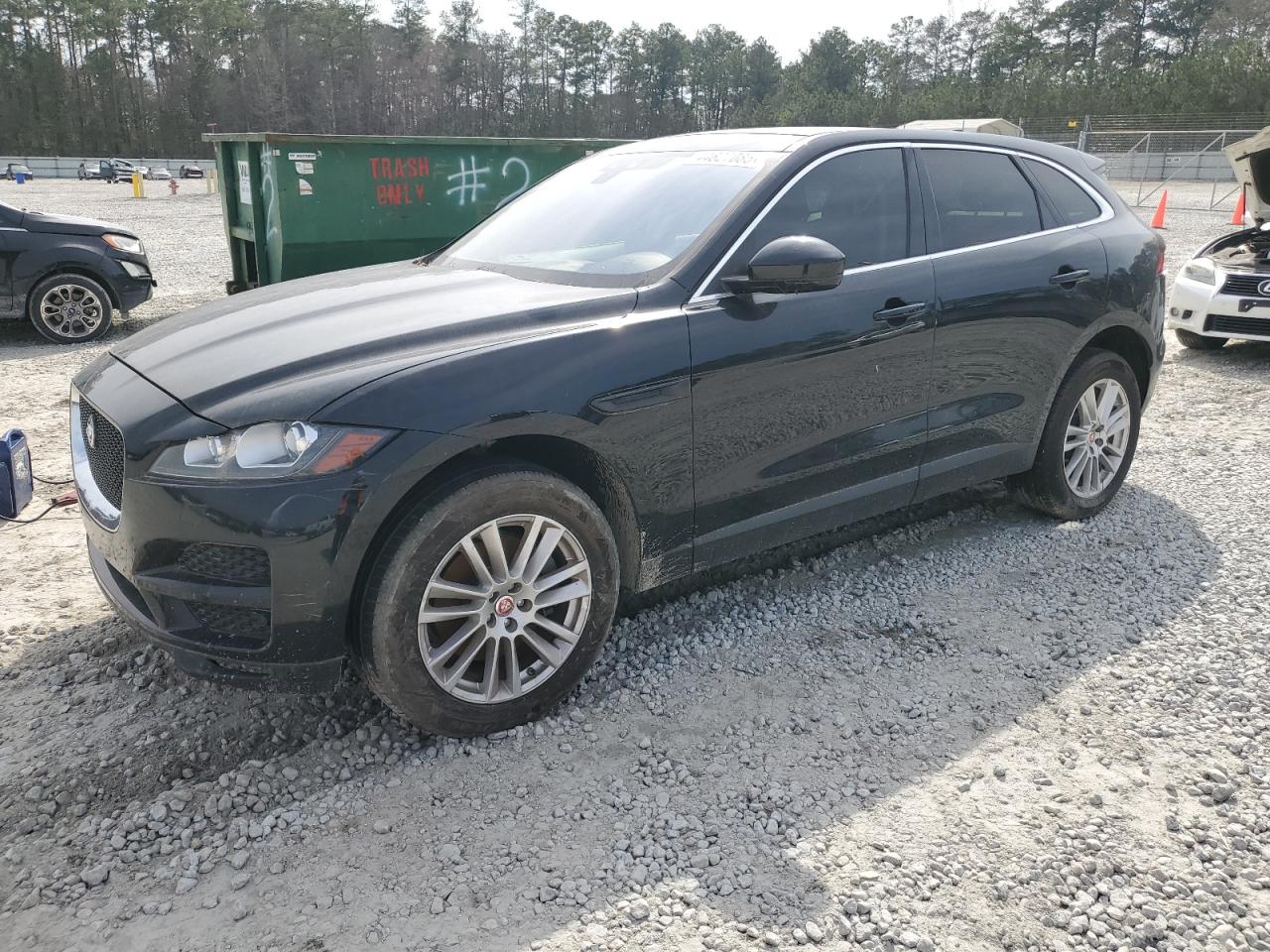 Jaguar