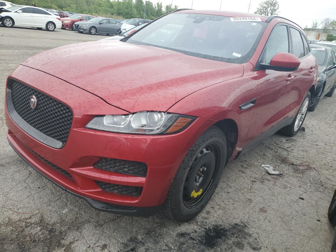 Jaguar