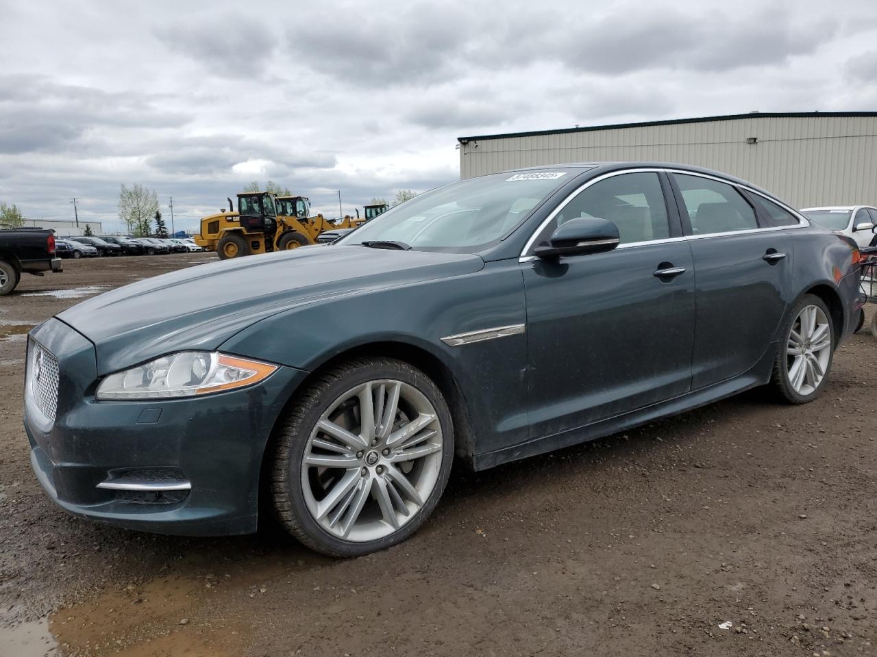 Jaguar