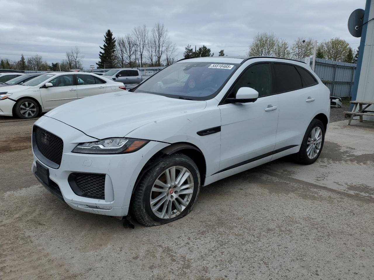 Jaguar