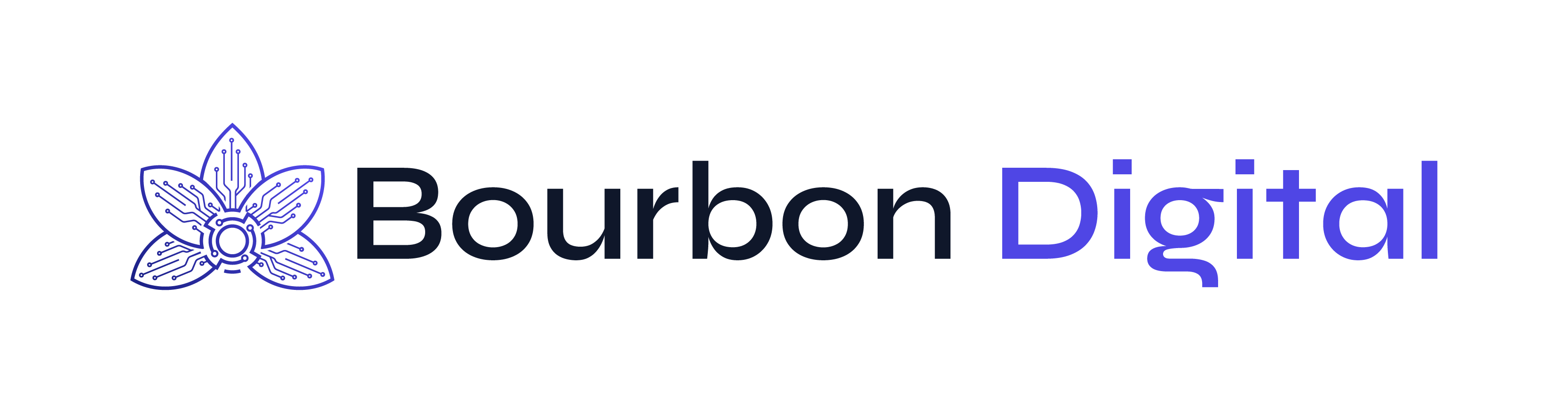 Bourbon Digital Logo Couleur