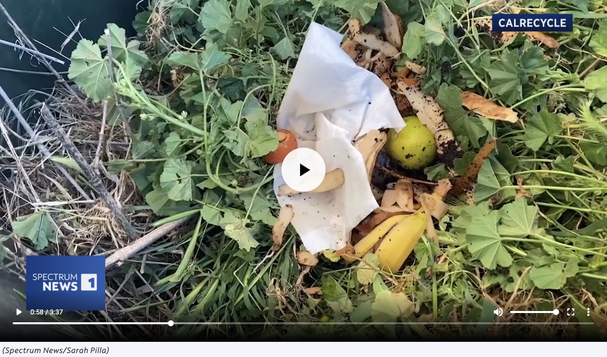 Spectrum News 1 article screenshot