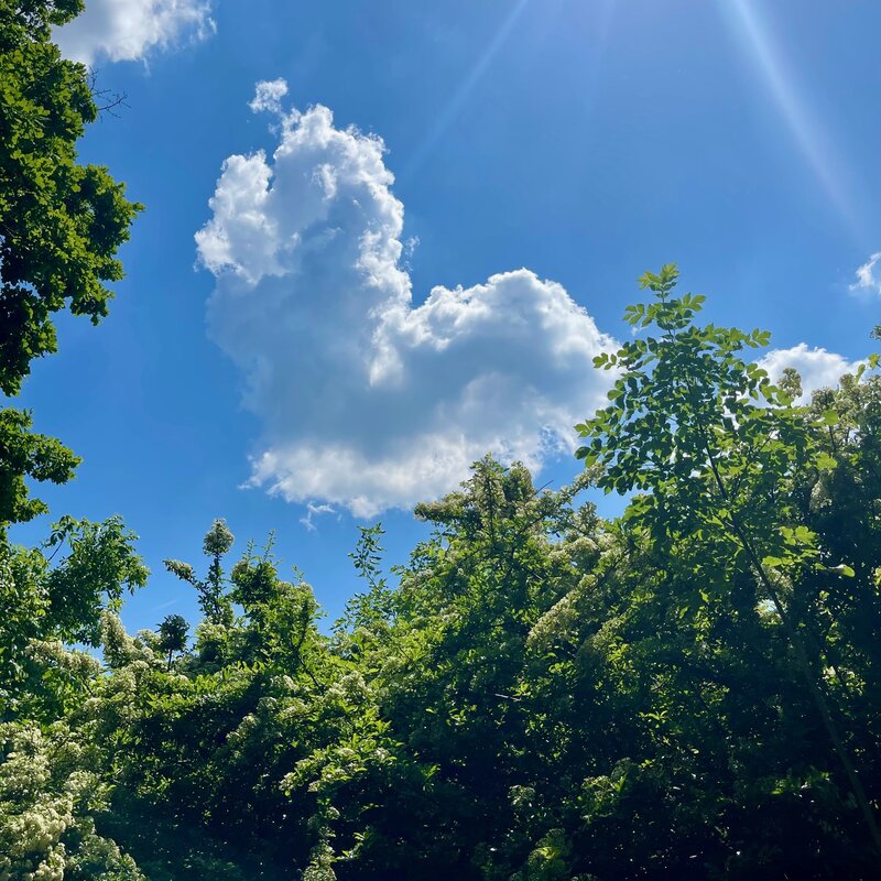 A napsütés hatására nő a boldogsághormonok szintje