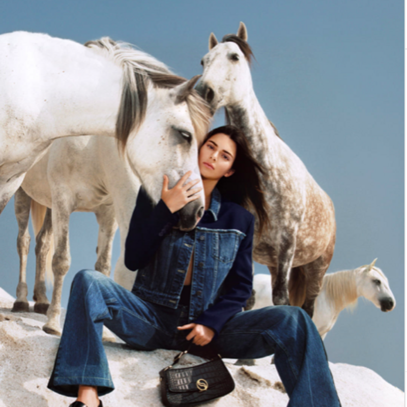 Se állatorvos, se lovas nem lett Kendall Jennerből - pedig ez volt a terv.