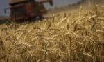 Preço global dos alimentos dispara e guerra no Oriente Médio aumenta temor de inflação