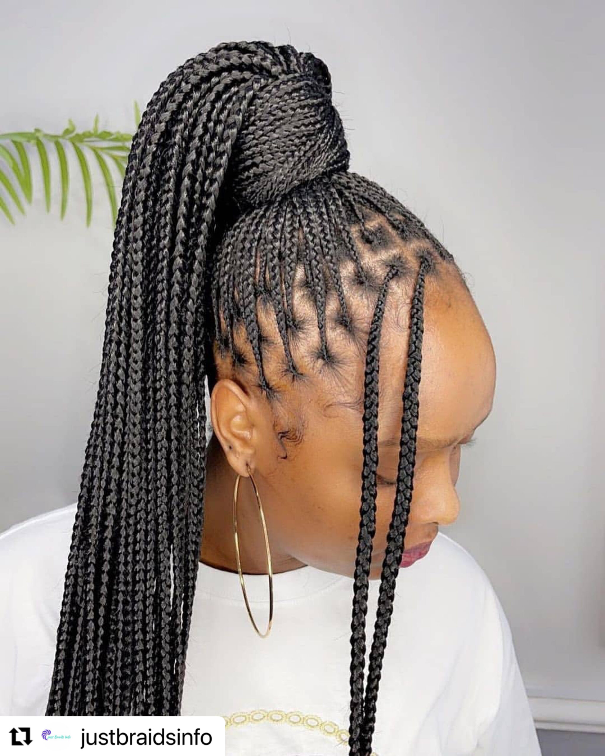 Hairstyle