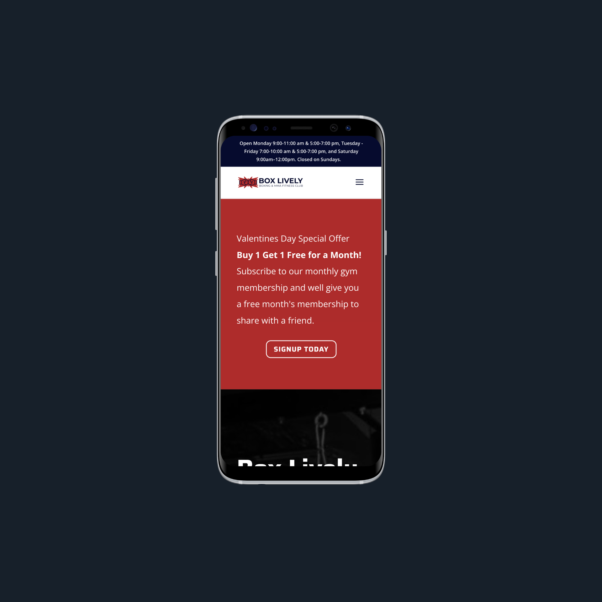 Screenshot of the Box Lively website (2 of 2).