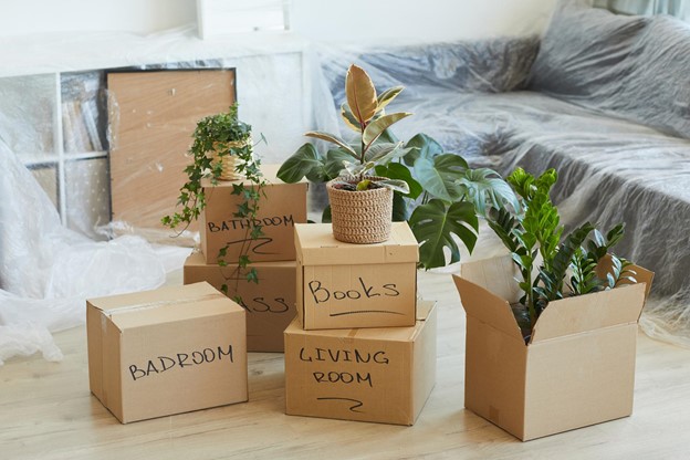 Labeled moving boxes sit among various plants in a room where the furniture is covered with plastic.