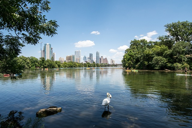 austin, texas, lake