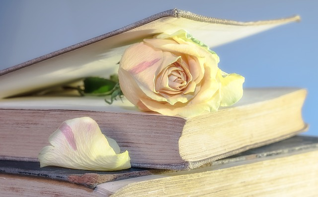 rose, book, old book