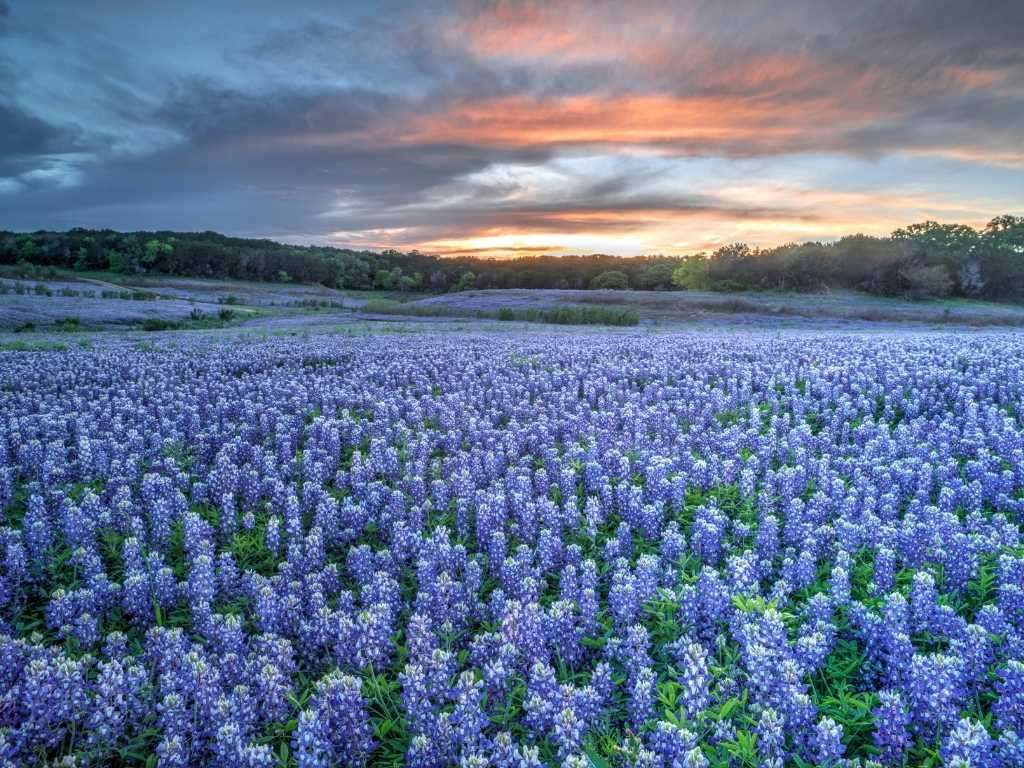 A picturesque view of the streets of Leander, TX - the perfect destination for those moving to Leander TX seeking Central Texas charm.