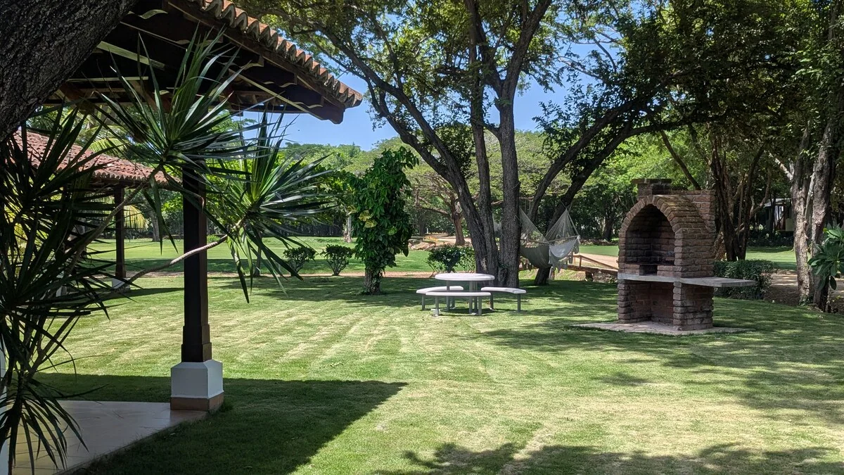Arbolito Viejo (2br) 37