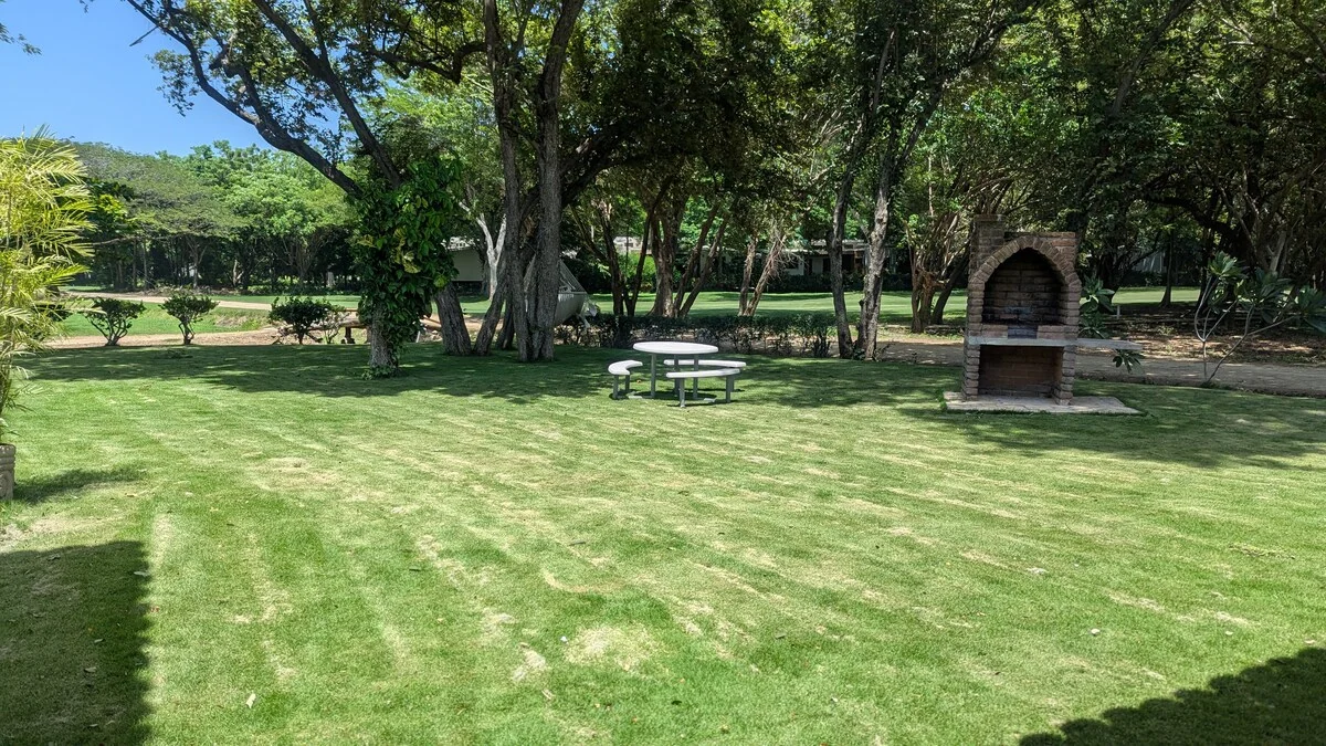 Arbolito Viejo (2br) 42