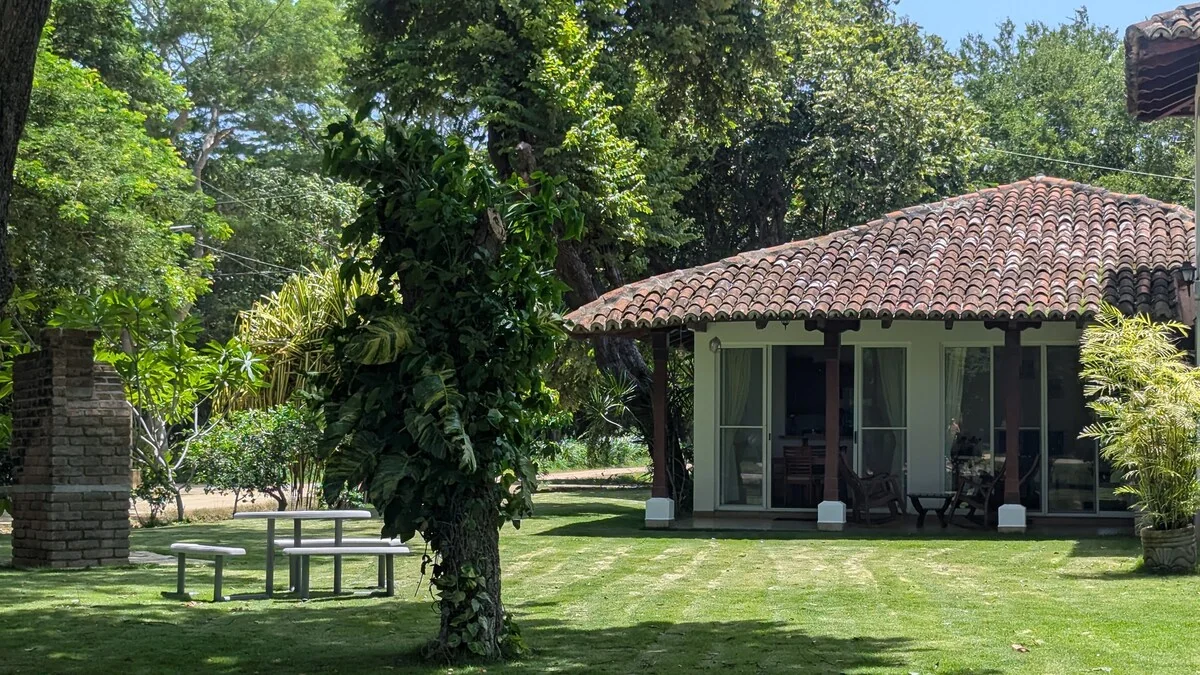Arbolito Viejo (2br) 32
