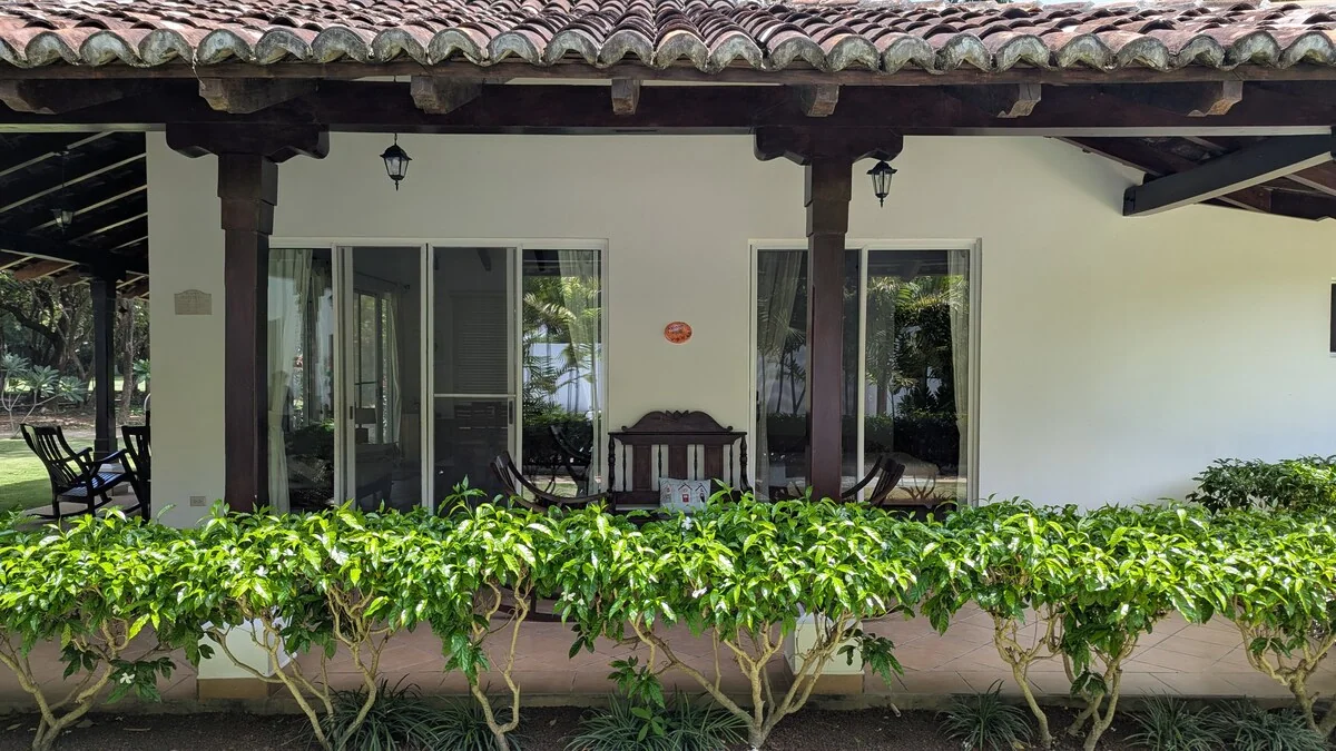 Arbolito Viejo (2br) 47