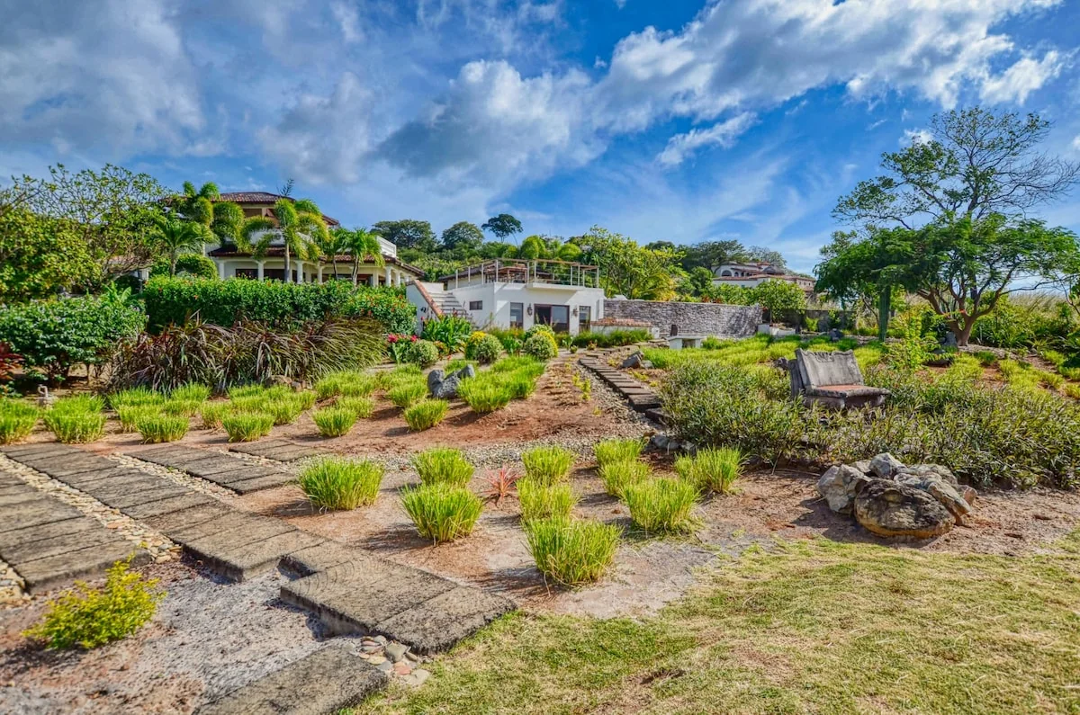 A landscaped garden with planted beds, stone pathways, rocks, trees, and a house beneath a bright blue sky.