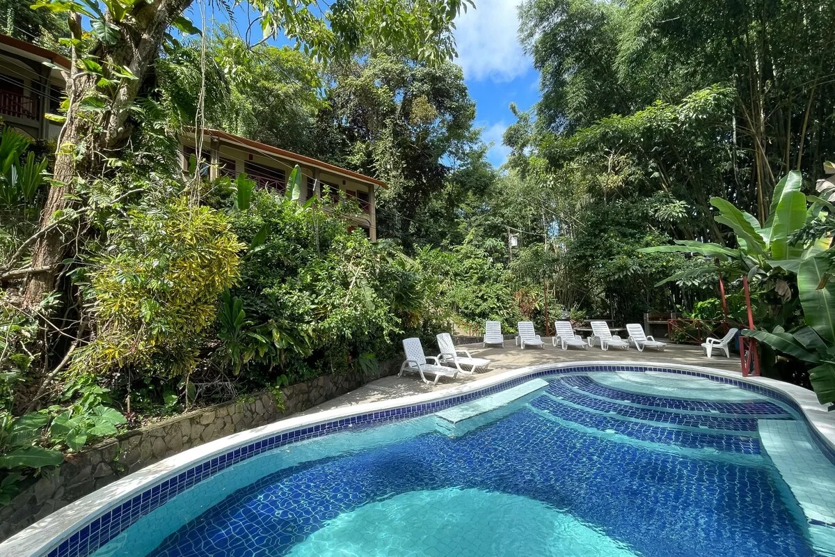 2BR EcoCondo #2 Terrace & wildlife visits - Apartments for Rent in Quepos, Puntarenas, Costa Rica