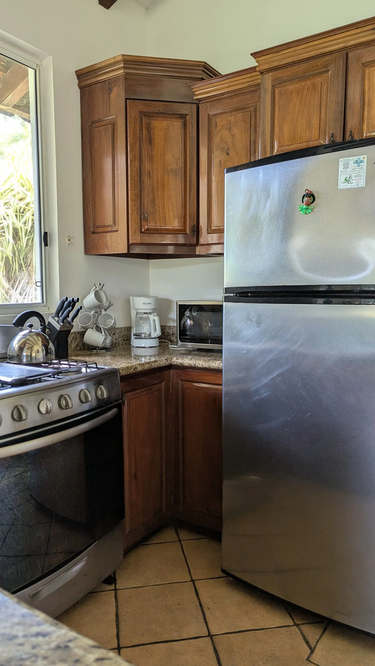 Arbolito Viejo (2br) 19