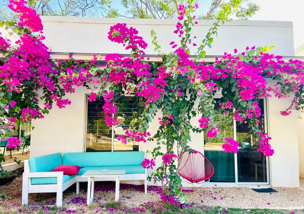 Villa 1