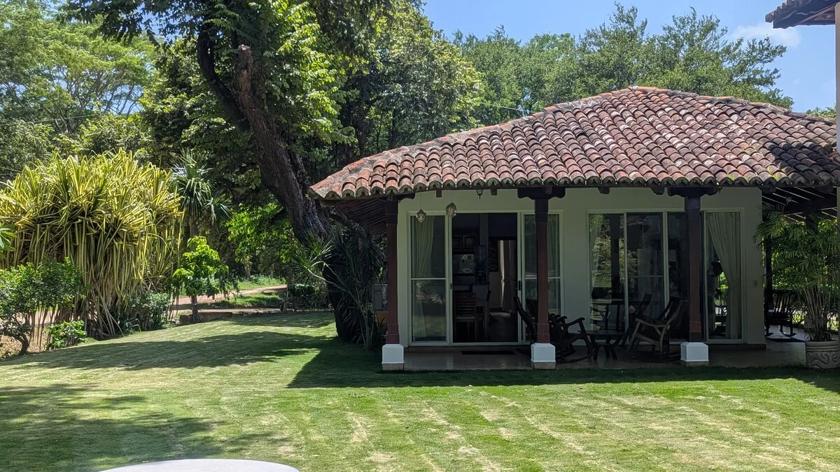 Arbolito Viejo (2br) 35