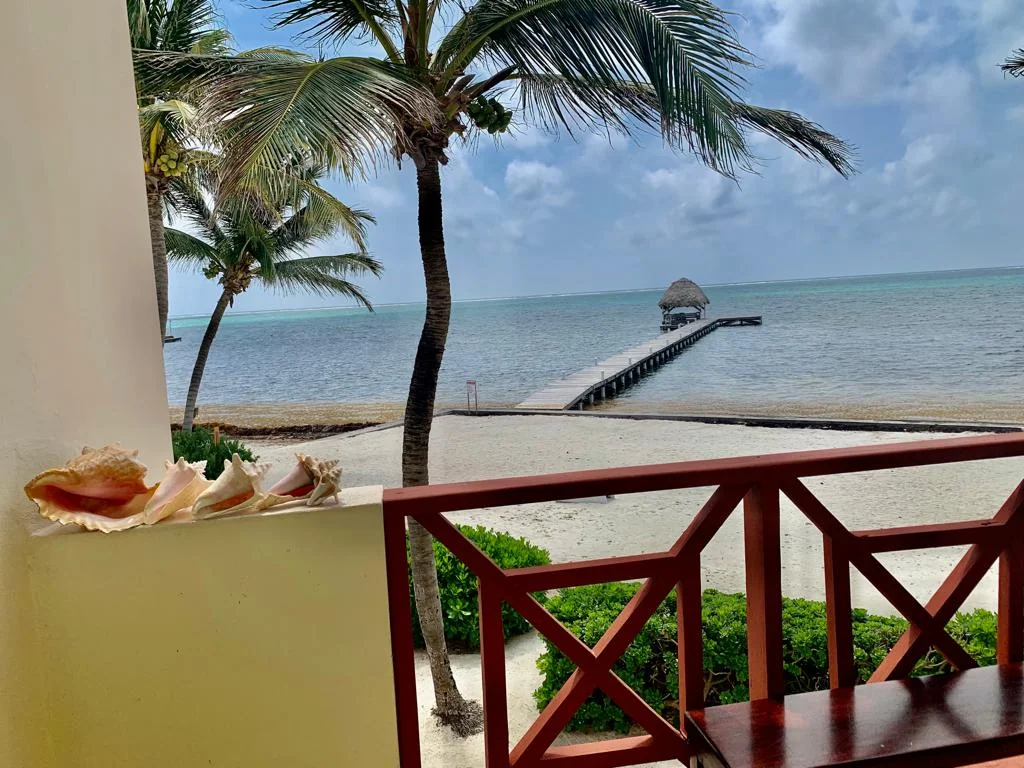 Miramar Villas unit 4 | On the Beach/Sea Side - Apartments for Rent in San Pedro, Corozal District, Belize - Image 1