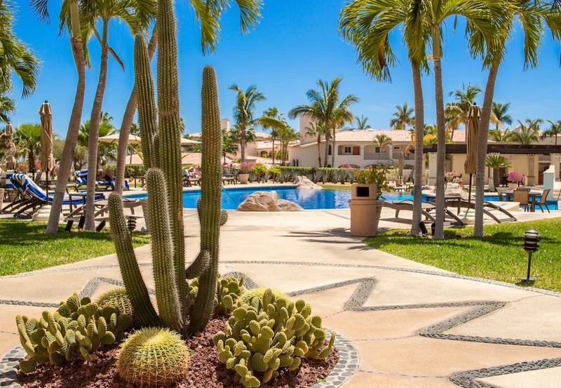 Beach - side Condo / Prime San José Hotel Zone - Condominiums for Rent in San José del Cabo, Baja California Sur, Mexico