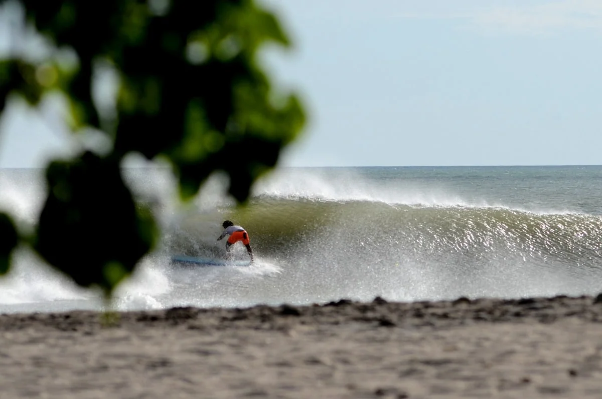 A surfer rides a breaking ocean wave beyond a sandy beach, partially framed by blurred leaves.