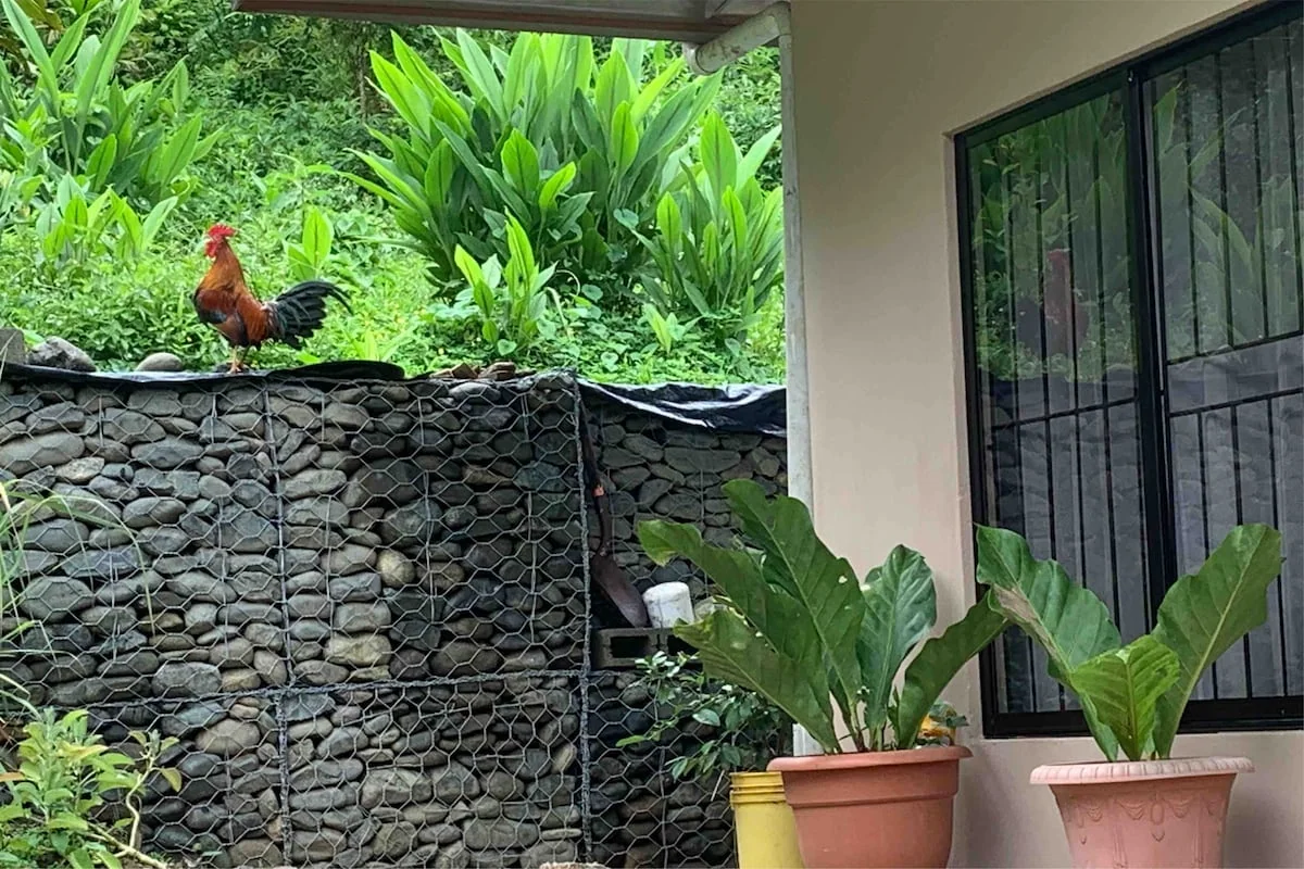 New and cozy apartment safe + parking. Green area. - Vacation homes for Rent in Manuel Antonio, Puntarenas Province, Costa Rica