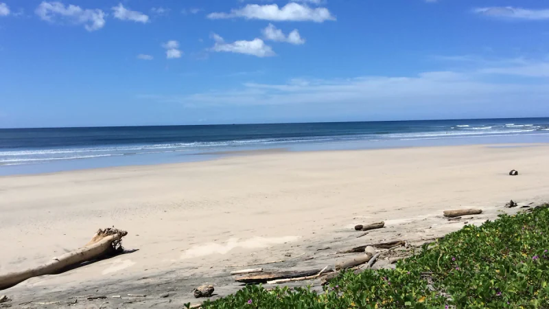 Plumeria Guest House - Houses for Rent in Hacienda Pinilla, Santa Cruz, Provincia de Guanacaste, Costa Rica