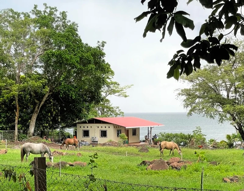 The Kingfisher House - Houses for Rent in Balgue, Rivas, Nicaragua